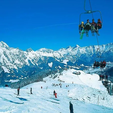 Apartment Double Ziegen-bartl With Terrace Saalfelden