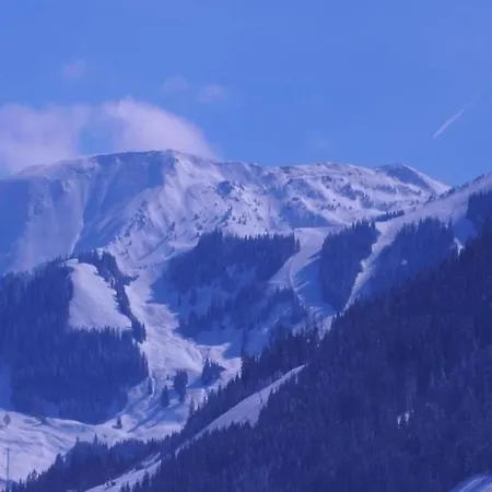 Double Ziegen-bartl With Terrace * Saalfelden